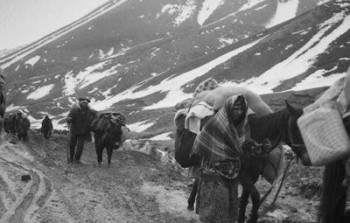 Qarabağdan 132 ailə Azərbaycanın Xanlar rayonuna köçürüldü - 1949-cu il