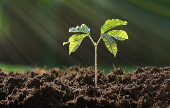 Bu gün Torpaq çərşənbəsidir