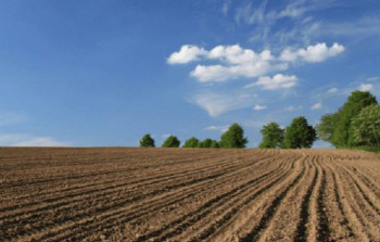 Bu şəxslərə pulsuz torpaq sahəsi veriləcək