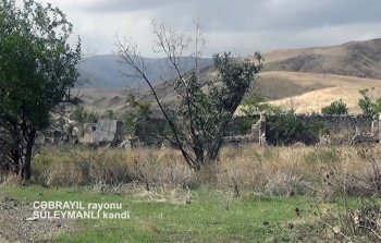 Cəbrayılın işğaldan azad olunmuş Süleymanlı kəndindən - VİDEO
