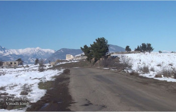 Zəngilanın Vənədli kəndi - VİDEO