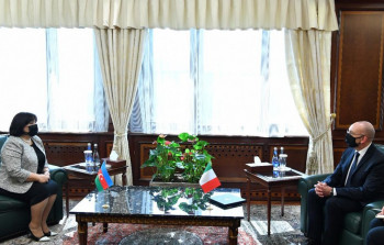 Sahibə Qafarova: "Ermənistan yenə də cinayətkar fəaliyyətdən əl çəkmir"