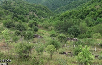 Kəlbəcərin Günəşli kəndindən VİDEO